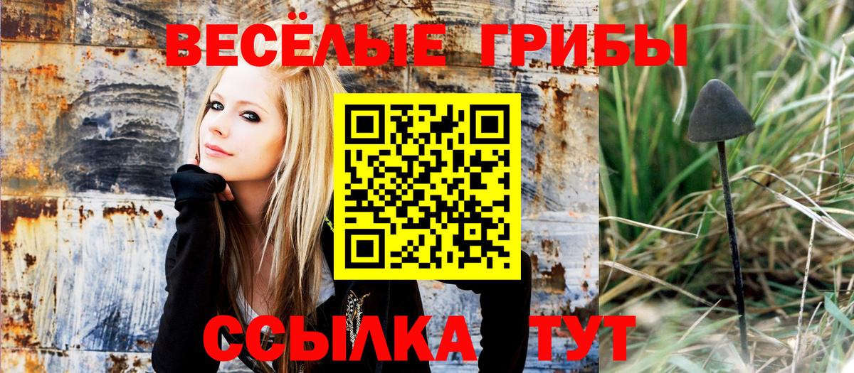 Псилоцибиновые грибы GOLDEN TEACHER  Гусиноозёрск 