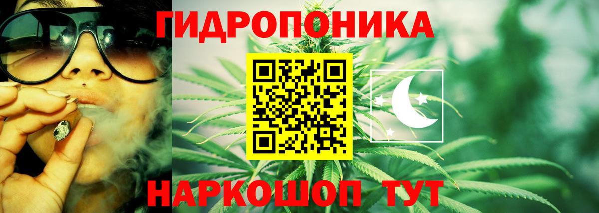 Каннабис семена Гусиноозёрск